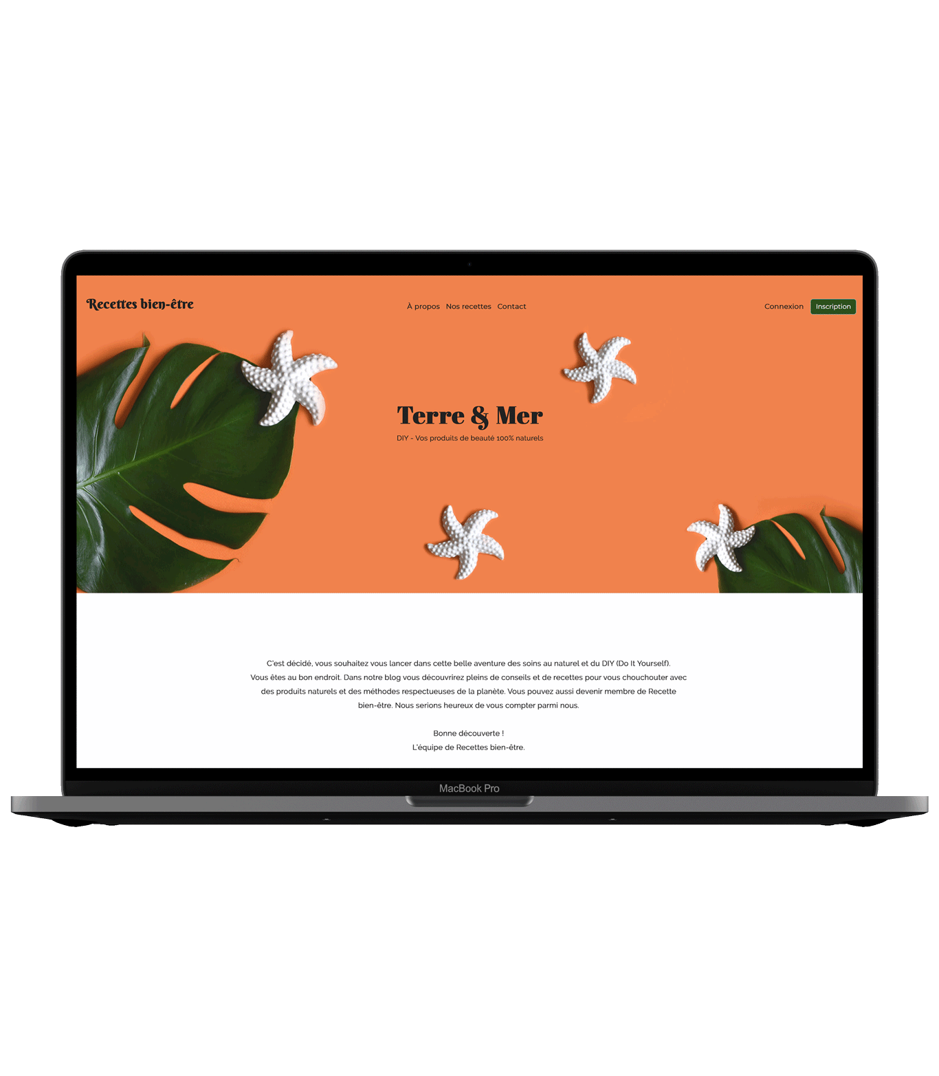 Site web Recette bien-être